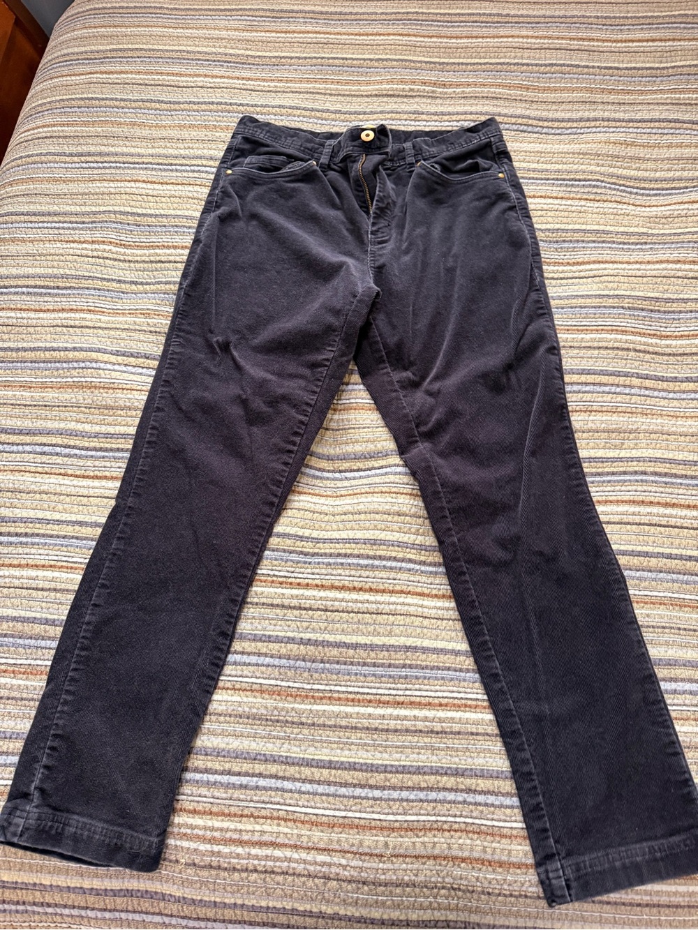C&C California Navy Blue Corduroy Men's Pants